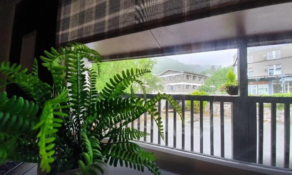 Fairy Falls Hotel Trefriw Exterior photo